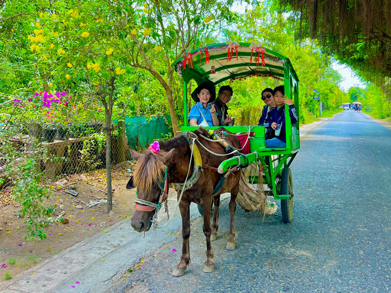 Trải nghiệm đi xe ngựa trên đường làng